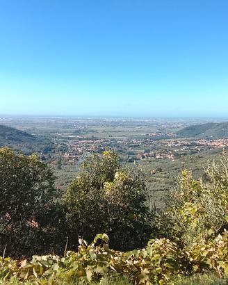 Annesso con terreno