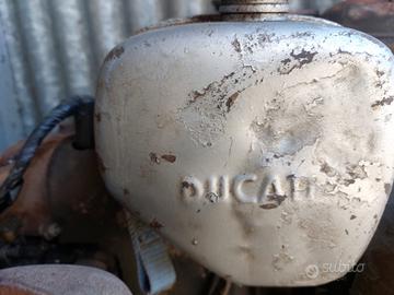 Motore ducati benzina petrolio e altro