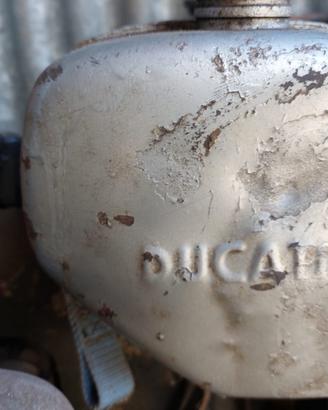 Motore ducati benzina petrolio e altro