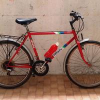 ATALA MOUNTAIN BIKE 26 GOMME GRANDI