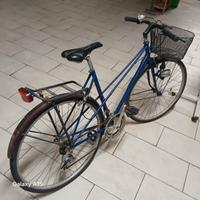 Biciclette da Uomo ruota 28 