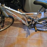 Mountain bike 26