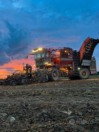 Scavabietole Holmer T3 2011