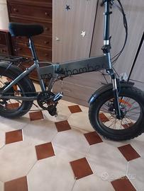 bicicletta elettrica 