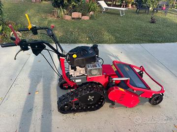 Trincia meccanica benassi TR600 cingolato