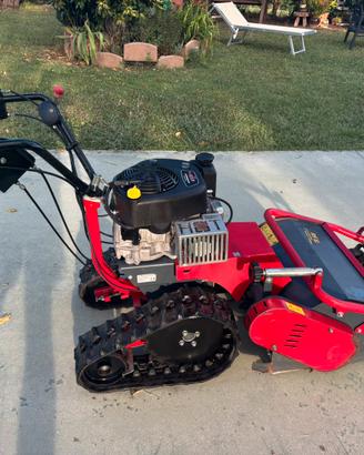 Trincia meccanica benassi TR600 cingolato