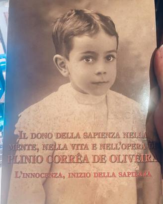 Plinio Corrêa de Oliveira - innocenza