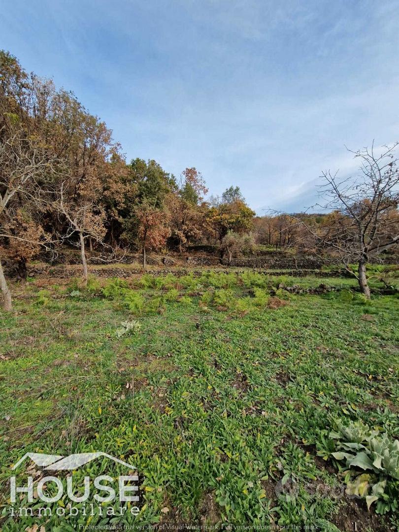 RAGALNA TERRENO AGRICOLO - Altro