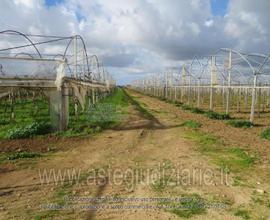 Terreno Agricolo Acate [A4200313]