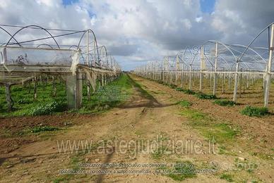 Terreno Agricolo Acate [A4200313]