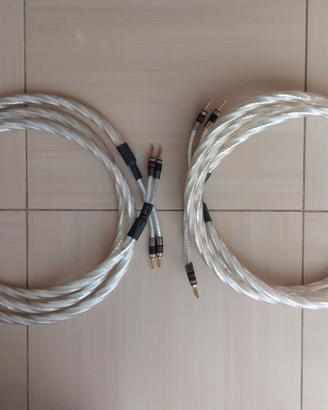 QED Genesis Silver Spiral cavi diffusori