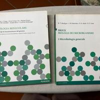 Libri universitari Biologia molecolare Brock