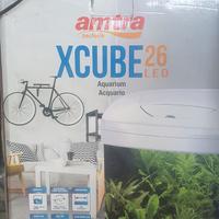 acquario 