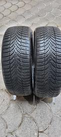 Pneumatici 225/55  R17 