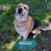 Argo 8 anno taglia grande