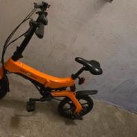 bicicletta pieghevole 