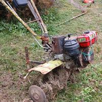 Motozappa grillo 11500