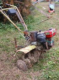 Motozappa grillo 11500