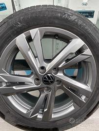 CERCHI LEGA POLO-GOLF PERFETTI