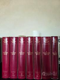 Vocabolario Treccani completo + Conciso + CD-ROM