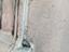 Immagine 16