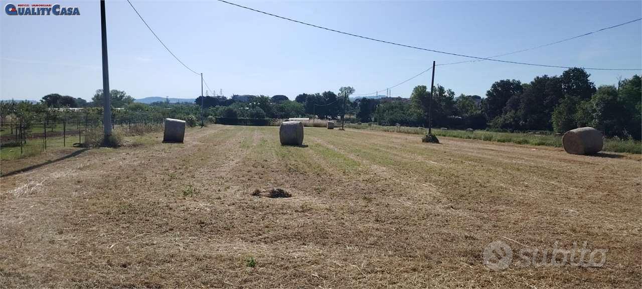Terreno agricolo a Monte San Vito - Vista 2