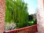 Immagine 26