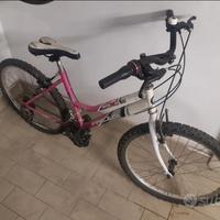 Bicicletta mtb bambina Frejus