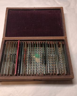 Antica collezione vetrini slides