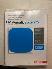 Matematica.azzurro 1