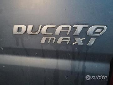 Ducato 3000 mjt ricambi