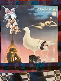 Antonello Venditti – Sotto la Pioggia | LP Vinile
