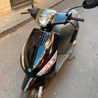 Zip 4t Squaletto