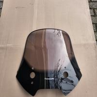 Cupolino Kawasaky Versys