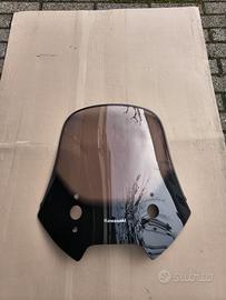 Cupolino Kawasaky Versys