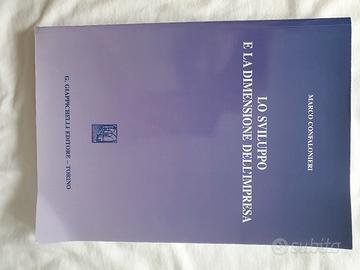 Lo sviluppo e la dimensione dell'impresa