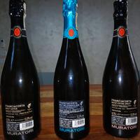 Vini Franciacorta 