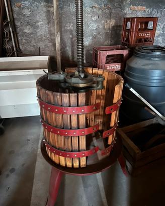 Torchio vinicolo e pigiadiraspatrice elettrica uva
