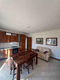 Bilocale giusy a porto mantovano