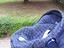 Immagine 2