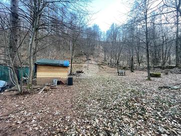 TER. AGRICOLO A GIAVENO