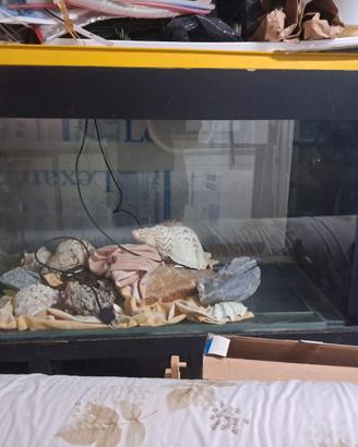 Acquario