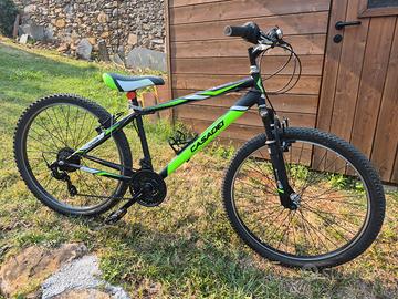 Bici casadei misura 26