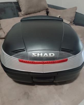 Bauletto SHAD 37L