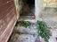 Immagine 22
