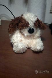 cane riccio  trudi bussi