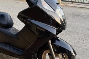 Silver Wing 400