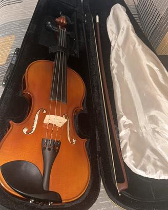 Violino