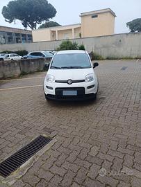 panda hybrid fiat