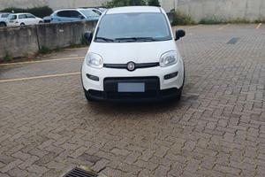 panda hybrid fiat